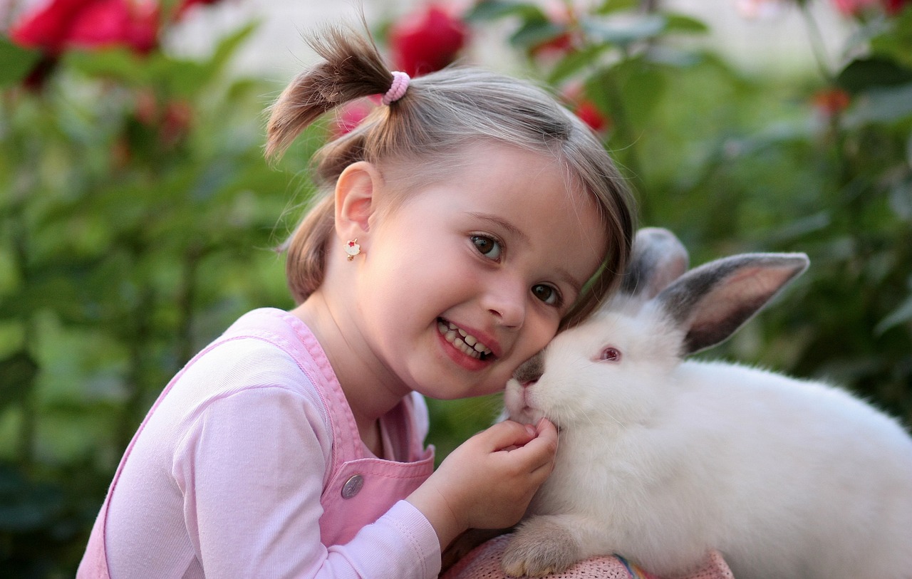 face, rabbit, nature-1410443.jpg